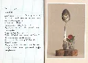 Breloques1.webp