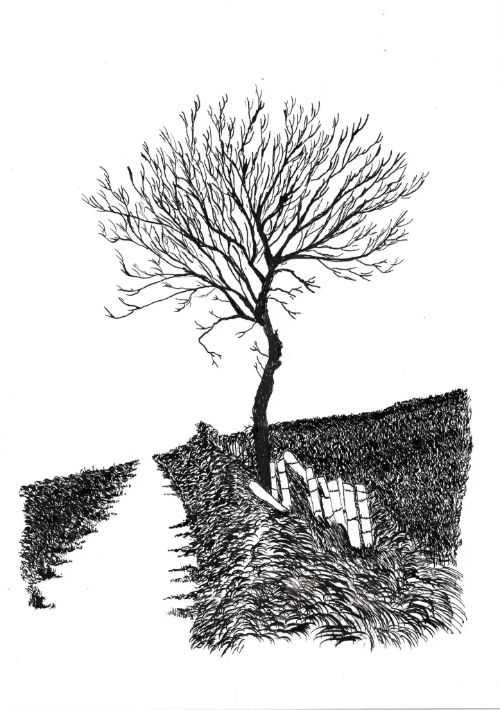 Arbre seul